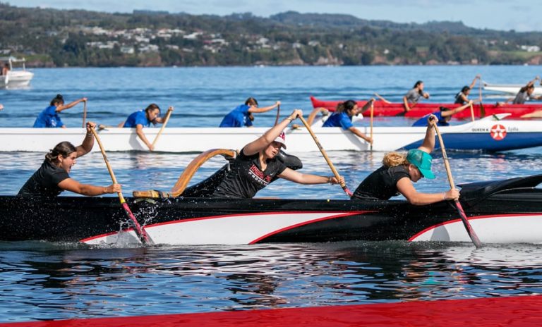 hpa_team_hero-Paddle